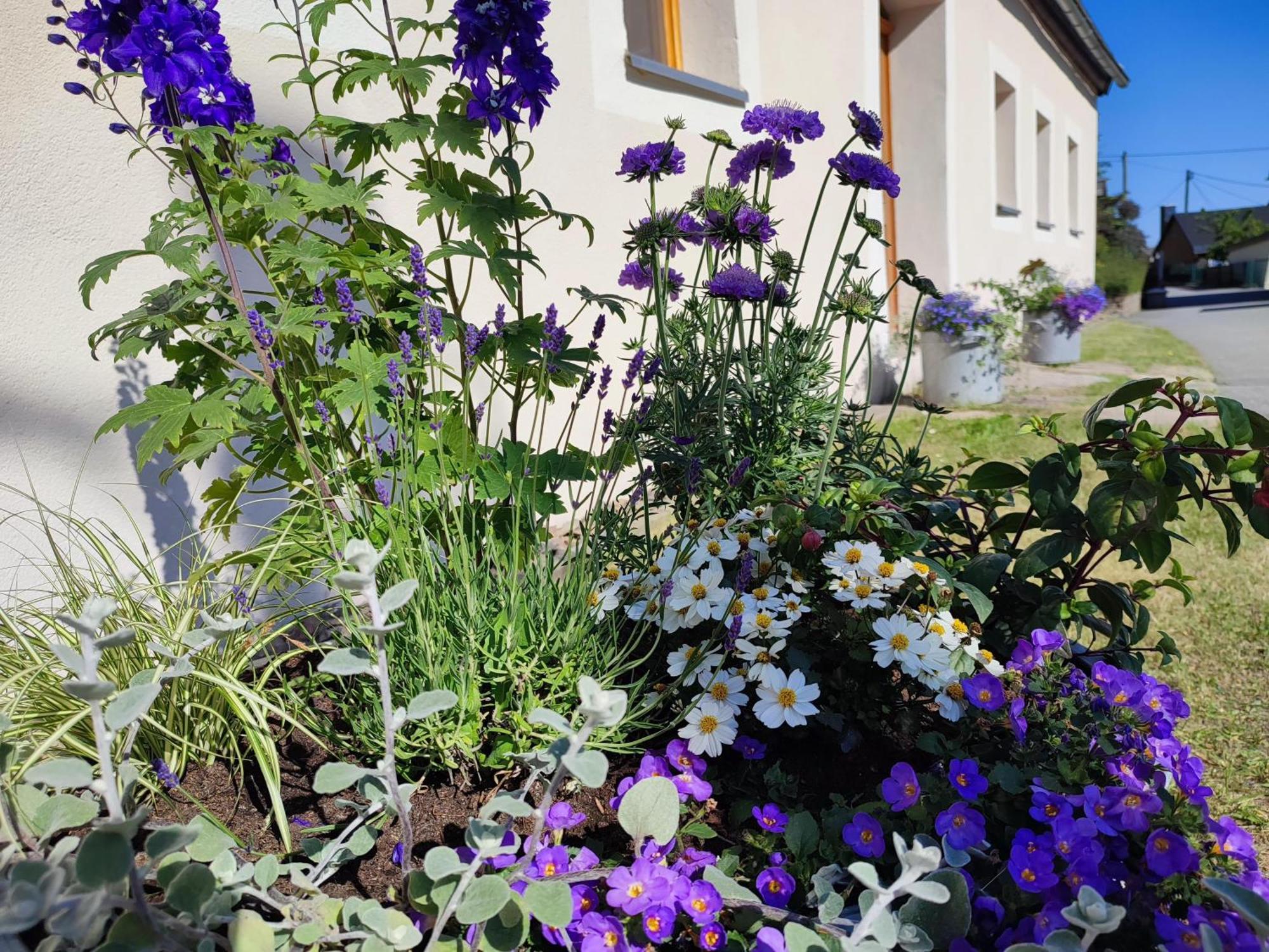 Ferienhaus "De Sieme" โอลเบิร์นเฮา ภายนอก รูปภาพ